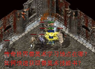传奇世界兽灵术学习地点在哪?如何快速获取兽灵术技能书? 传奇世界兽灵术学习地点在哪?如何快速获取兽灵术技能书?