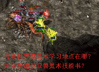 传奇世界兽灵术学习地点在哪?如何快速获取兽灵术技能书? 传奇世界兽灵术学习地点在哪?如何快速获取兽灵术技能书?