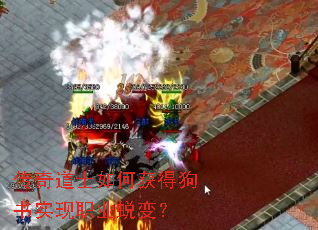 �����ʿ��λ�ù���ʵ��ְҵ�ɱ䣿