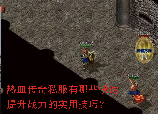 ��Ѫ����˽������Щ��������ս����ʵ�ü��ɣ�