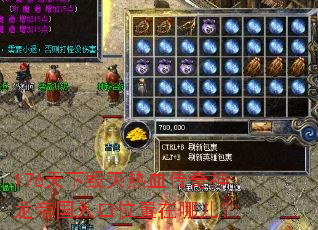 176天下毁灭热血传奇神龙帝国入口位置在哪儿? 176天下毁灭热血传奇神龙帝国入口位置在哪儿?