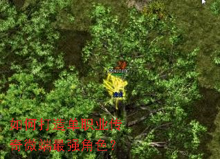 如何打造单职业传奇微端最强角色? 如何打造单职业传奇微端最强角色?