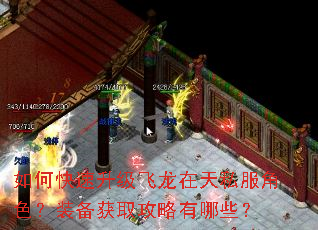 如何快速升级飞龙在天私服角色?装备获取攻略有哪些? 如何快速升级飞龙在天私服角色?装备获取攻略有哪些?