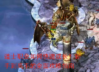 ��ʿְҵ��ο��ٳɳ������ֵ����ֵ�ȫ�湥��ָ��