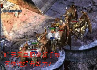 �����쵥ְҵ������ο�������ս����