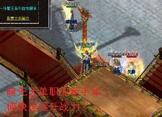 �����쵥ְҵ������ο�������ս����