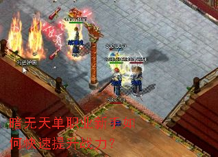 �����쵥ְҵ������ο�������ս����
