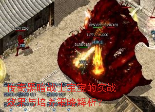 传奇黑暗战士宝宝的实战效果与培养策略解析? 传奇黑暗战士宝宝的实战效果与培养策略解析?