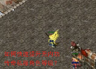 如何快速提升无内功传奇私服角色等级? 如何快速提升无内功传奇私服角色等级?