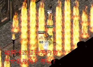如何快速提升无内功传奇私服角色等级? 如何快速提升无内功传奇私服角色等级?