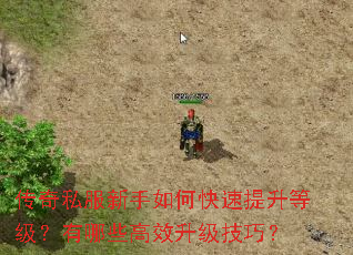 传奇私服新手如何快速提升等级?有哪些高效升级技巧? 传奇私服新手如何快速提升等级?有哪些高效升级技巧?