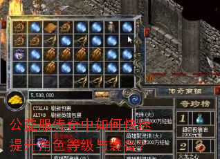 公益服传奇中如何快速提升角色等级与装备? 公益服传奇中如何快速提升角色等级与装备?
