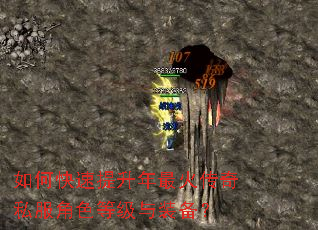 如何快速提升年最火传奇私服角色等级与装备? 如何快速提升年最火传奇私服角色等级与装备?