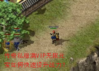 传奇私服满VIP无限元宝如何快速提升战力? 传奇私服满VIP无限元宝如何快速提升战力?