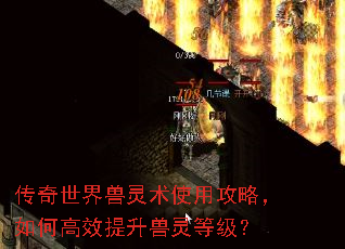 传奇世界兽灵术使用攻略,如何高效提升兽灵等级? 传奇世界兽灵术使用攻略,如何高效提升兽灵等级?