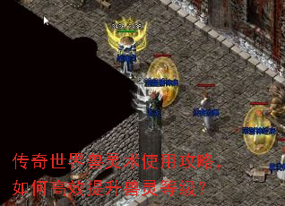 传奇世界兽灵术使用攻略,如何高效提升兽灵等级? 传奇世界兽灵术使用攻略,如何高效提升兽灵等级?