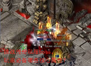 ��ս����˽��boss����ұر���Щ�������ԣ�