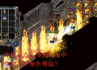 如何在九五传奇私服中快速提升角色等级? 如何在九五传奇私服中快速提升角色等级?