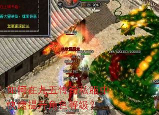 如何在九五传奇私服中快速提升角色等级? 如何在九五传奇私服中快速提升角色等级?