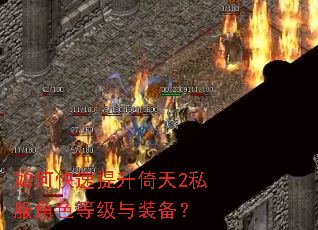 如何快速提升倚天2私服角色等级与装备? 如何快速提升倚天2私服角色等级与装备?