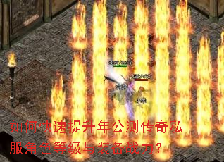如何快速提升年公测传奇私服角色等级与装备战力? 如何快速提升年公测传奇私服角色等级与装备战力?