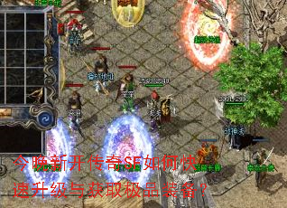 今晚新开传奇SF如何快速升级与获取极品装备? 今晚新开传奇SF如何快速升级与获取极品装备?