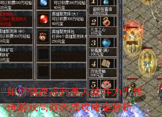 如何快速提升美人战斗力?传奇游戏高效养成攻略全解析 如何快速提升美人战斗力?传奇游戏高效养成攻略全解析