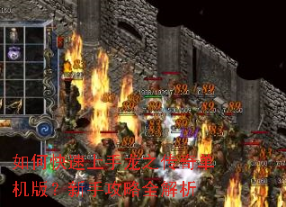 如何快速上手龙之传奇单机版?新手攻略全解析 如何快速上手龙之传奇单机版?新手攻略全解析