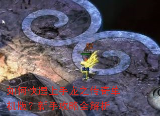如何快速上手龙之传奇单机版?新手攻略全解析 如何快速上手龙之传奇单机版?新手攻略全解析