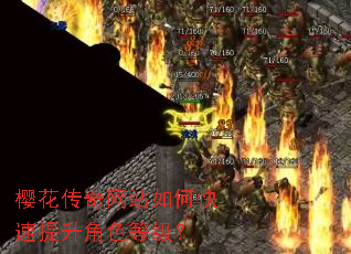 樱花传奇网站如何快速提升角色等级? 樱花传奇网站如何快速提升角色等级?