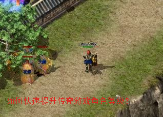 如何快速提升传奇游戏角色等级? 如何快速提升传奇游戏角色等级?