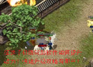 ��;�ֻ��渨�������������ս��������������������Щ��