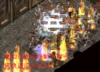 原始征途私服新手如何快速提升战力? 原始征途私服新手如何快速提升战力?