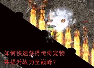 如何快速获得传奇宠物并提升战力至巅峰? 如何快速获得传奇宠物并提升战力至巅峰?