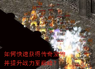 如何快速获得传奇宠物并提升战力至巅峰? 如何快速获得传奇宠物并提升战力至巅峰?