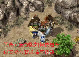 传奇sf宠物版如何快速升级宠物与获取稀有技能? 传奇sf宠物版如何快速升级宠物与获取稀有技能?