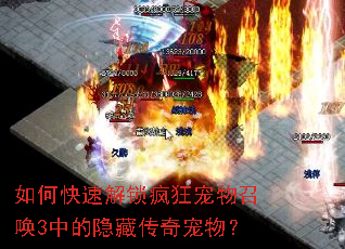 如何快速解锁疯狂宠物召唤3中的隐藏传奇宠物? 如何快速解锁疯狂宠物召唤3中的隐藏传奇宠物?