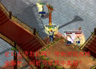 老妇古语怎称呼?传奇游戏攻略全解析,问君可知其中奥秘? 老妇古语怎称呼?传奇游戏攻略全解析,问君可知其中奥秘?