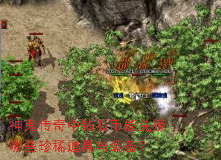 神鬼传奇中钻石币能兑换哪些珍稀道具与装备? 神鬼传奇中钻石币能兑换哪些珍稀道具与装备?