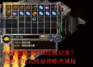 如何彻底消灭搜肤蝇幼虫?传奇游戏式终极攻略大揭秘 如何彻底消灭搜肤蝇幼虫?传奇游戏式终极攻略大揭秘