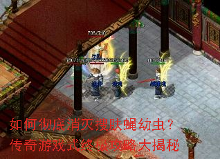 如何彻底消灭搜肤蝇幼虫?传奇游戏式终极攻略大揭秘 如何彻底消灭搜肤蝇幼虫?传奇游戏式终极攻略大揭秘