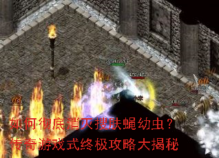 如何彻底消灭搜肤蝇幼虫?传奇游戏式终极攻略大揭秘 如何彻底消灭搜肤蝇幼虫?传奇游戏式终极攻略大揭秘