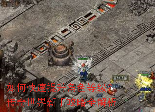 如何快速提升角色等级?传奇世界新手攻略全解析 如何快速提升角色等级?传奇世界新手攻略全解析