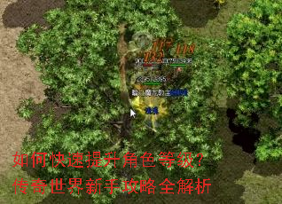 如何快速提升角色等级?传奇世界新手攻略全解析 如何快速提升角色等级?传奇世界新手攻略全解析