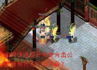 如何快速提升传奇合击公益版角色等级与装备? 如何快速提升传奇合击公益版角色等级与装备?