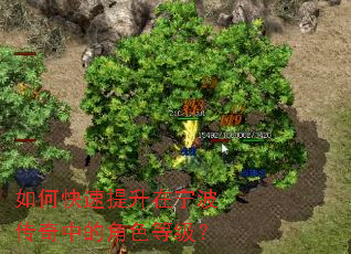 如何快速提升在宁波传奇中的角色等级? 如何快速提升在宁波传奇中的角色等级?