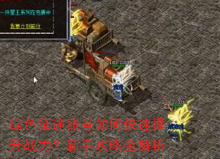 绿色征途账号如何快速提升战力?新手攻略全解析 绿色征途账号如何快速提升战力?新手攻略全解析