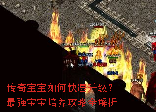 传奇宝宝如何快速升级?最强宝宝培养攻略全解析 传奇宝宝如何快速升级?最强宝宝培养攻略全解析