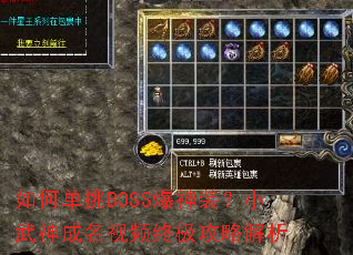 ��ε���BOSS����װ��С���������Ƶ�ռ����Խ���
